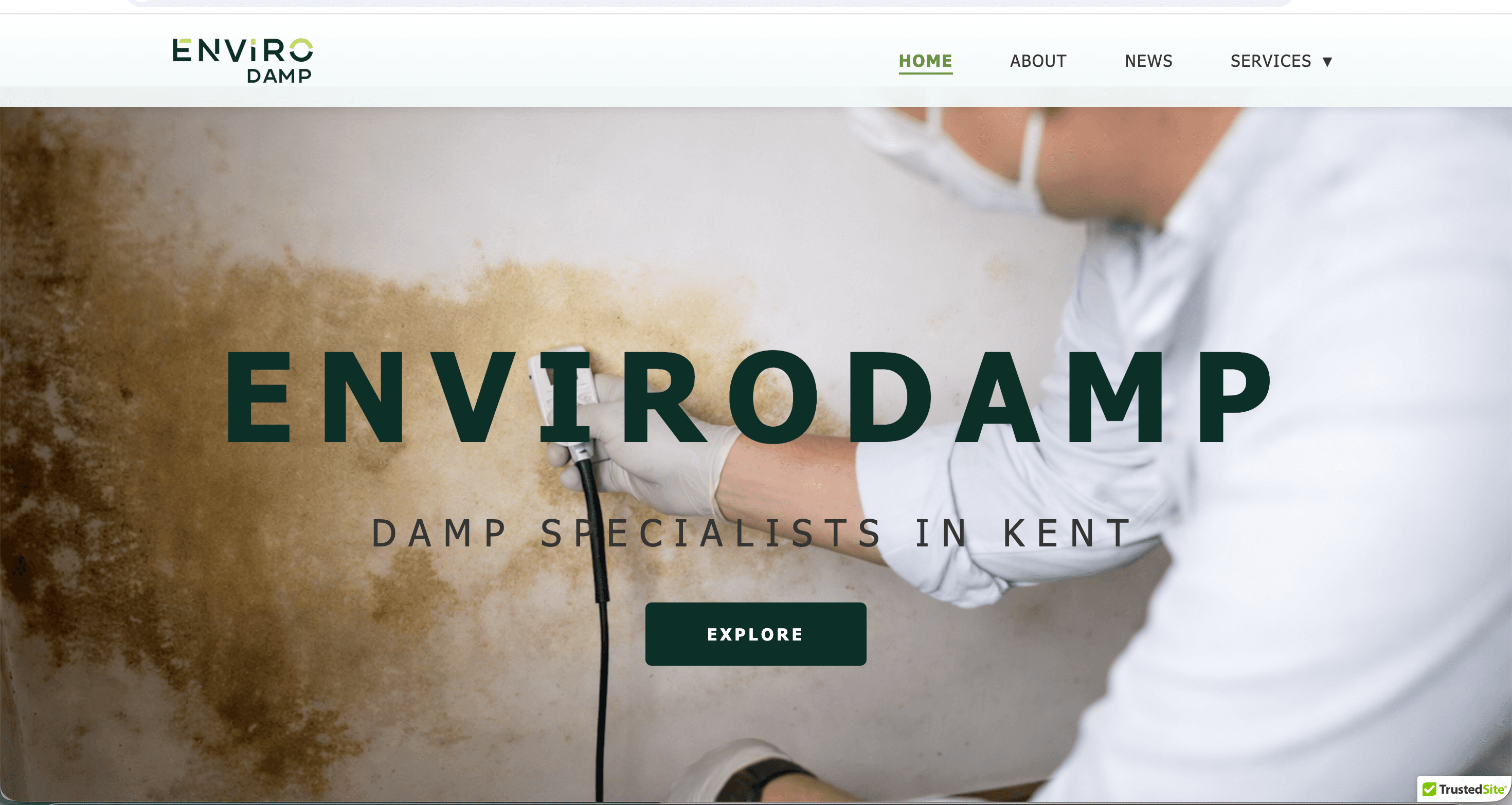 EnviroDamp homepage with damp survey and remedial services